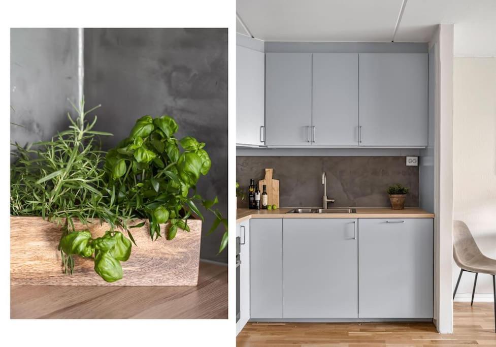 Oslo Center Apt&Central Station& Garage Parking 외부 사진
